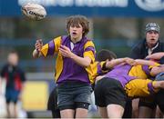 15 January 2013; Conor Fenlon, CBS Wexford. Senior Development Cup Final, CBS Wexford v Ratoath C.C, Donnybrook Stadium, Donnybrook, Dublin. Picture credit: David Maher / SPORTSFILE