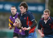 15 January 2013; Rob Waters, Ratoath C.C. Senior Development Cup Final, CBS Wexford v Ratoath C.C, Donnybrook Stadium, Donnybrook, Dublin. Picture credit: David Maher / SPORTSFILE