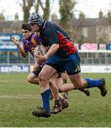 15 January 2013; Dylan Doyle, Ratoath C.C. Senior Development Cup Final, CBS Wexford v Ratoath C.C, Donnybrook Stadium, Donnybrook, Dublin. Picture credit: David Maher / SPORTSFILE