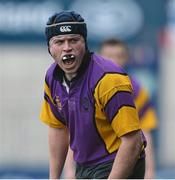 15 January 2013; Steve Roche, CBS Wexford. Senior Development Cup Final, CBS Wexford v Ratoath C.C, Donnybrook Stadium, Donnybrook, Dublin. Picture credit: David Maher / SPORTSFILE