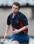 15 January 2013; Michael Judge, Ratoath C.C. Senior Development Cup Final, CBS Wexford v Ratoath C.C, Donnybrook Stadium, Donnybrook, Dublin. Picture credit: David Maher / SPORTSFILE