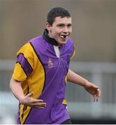 15 January 2013; Mickey Roche, CBS Wexford. Senior Development Cup Final, CBS Wexford v Ratoath C.C, Donnybrook Stadium, Donnybrook, Dublin. Picture credit: David Maher / SPORTSFILE