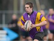 15 January 2013; Josh Healy, CBS Wexford. Senior Development Cup Final, CBS Wexford v Ratoath C.C, Donnybrook Stadium, Donnybrook, Dublin. Picture credit: David Maher / SPORTSFILE