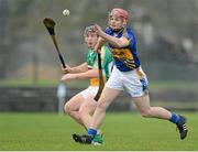 13 January 2013; Sean Curran, Tipperary, in action against Sean Ryan, Offaly. Inter-County Challenge Match, Tipperary v Offaly, Templemore, Co. Tipperary. Picture credit: Matt Browne / SPORTSFILE