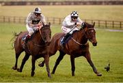 19 January 2013; Morning Assembly, right, with Davy Russell up, on the way to winning the I.N.H. Stallion Owners European Breeders Fund Maiden Hurdle, from second place finisher Mad Brian, with Fergal Harford up. Naas Racecourse, Naas, Co. Kildare. Photo by Sportsfile