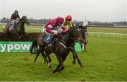 19 January 2013; Tofino Bay, with Davy Russell up, left, on the way to winning the Woodlands Park 100 Club Novice Steeplechase ahead of second place Aupcharlie, with Andrew Lynch up. Naas Racecourse, Naas, Co. Kildare. Photo by Sportsfile