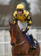 19 January 2013; Jockey Brian O'Connell aboard Ournativecity. Naas Racecourse, Naas, Co. Kildare. Photo by Sportsfile
