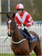 19 January 2013; Jockey Bryan Cooper aboard Stoney. Naas Racecourse, Naas, Co. Kildare. Photo by Sportsfile