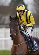 19 January 2013; Jockey Ruby Walsh aboard Mr Groocock. Naas Racecourse, Naas, Co. Kildare. Photo by Sportsfile