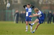 22 January 2013; Luke de Renzy, St Andrew's. Vinny Murray Schools Cup, 2nd Round, Wesley College v St Andrews, NUI Maynooth, Maynooth, Co. Kildare. Picture credit: Brendan Moran / SPORTSFILE
