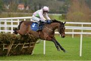 26 January 2013; Fatcatinthehat, with Paul Townend up, clears the last on their way to winning the leopardstown.com Maiden Hurdle. Leopardstown Racecourse, Leopardstown, Co. Dublin. Picture credit: Brendan Moran / SPORTSFILE