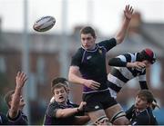 27 January 2013; Robert Lalor, Terenure College, in action against Robert Fenlon,  Belvedere College SJ. Powerade Leinster Schools Senior Cup, 1st Round, Terenure College v Belvedere College SJ, Donnybrook Stadium, Donnybrook, Dublin, Picture credit: Brian Lawless / SPORTSFILE