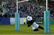 27 January 2013; Belvedere College SJ supporter Ciaran Lynch 'The Panda' scores a try at half time. Powerade Leinster Schools Senior Cup, 1st Round, Terenure College v Belvedere College SJ, Donnybrook Stadium, Donnybrook, Dublin, Picture credit: Brian Lawless / SPORTSFILE