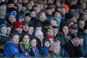 27 January 2013; Spectators look on during the game. Waterford Crystal Cup Quarter-Final, Tipperary v Limerick, McDonagh Park, Nenagh, Co. Tipperary. Picture credit: Diarmuid Greene / SPORTSFILE
