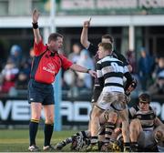 27 January 2013; Brian MacNeice, referee. Powerade Leinster Schools Senior Cup, 1st Round, Terenure College v Belvedere College SJ, Donnybrook Stadium, Donnybrook, Dublin, Picture credit: Brian Lawless / SPORTSFILE