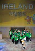 29 January 2013; Team Ireland officials and athletes on parade during the opening ceremony. 2013 Special Olympics World Winter Games, Opening Ceremony, Yongpyong Dome, PyeongChang, South Korea. Picture credit: Ray McManus / SPORTSFILE