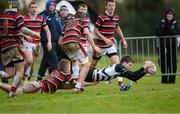 31 January 2013; Richard Lavery, C.C. Roscrea, scores a try against Wesley College. Powerade Leinster Schools Senior Cup, 1st Round, C.C. Roscrea v Wesley College, NUI Maynooth, Maynooth, Co. Kildare. Picture credit: Matt Browne / SPORTSFILE