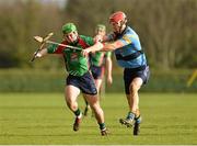 31 January 2013; Sean Collins, Limerick IT, in action against Rory O'Carroll, University College Dublin. Irish Daily Mail Fitzgibbon Cup, Group C, Round 1, University College Dublin v Limerick IT, Belfield, University College Dublin, Dublin. Picture credit: Barry Cregg / SPORTSFILE