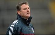 3 February 2013; Galway manager Alan Mulholland during the game. Allianz Football League, Division 2, Galway v Derry, Pearse Stadium, Salthill, Galway. Picture credit: Barry Cregg / SPORTSFILE