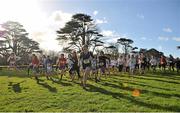 6 February 2013; A general view of the start of the minor girls race during the 2013 AVIVA Leinster Schools cross country championships. Santry Demesne, Santry, Co. Dublin. Picture credit: Barry Cregg / SPORTSFILE