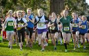 6 February 2013; A general view of the start of the junior girls race during the 2013 AVIVA Leinster Schools cross country championships. Santry Demesne, Santry, Co. Dublin. Picture credit: Barry Cregg / SPORTSFILE