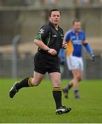10 February 2013; Referee Fergal Barry. Allianz Football League, Division 3, Wicklow v Meath, County Grounds, Aughrim, Co. Wicklow. Picture credit: Barry Cregg / SPORTSFILE