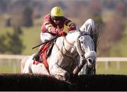 19 February 2013; Chicago Grey, with Davy Condon up, jumps the last on the way to winning the Red Mills Steeplechase. Navan Racecourse, Navan, Co. Meath. Photo by Sportsfile