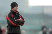 19 February 2013; UCC manager Eddie Enright. Irish Daily Mail Fitzgibbon Cup Quarter-Final, University College Cork v Cork Institute of Technology, Mardyke, Cork. Picture credit: Diarmuid Greene / SPORTSFILE