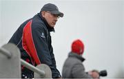 23 February 2013; Lansdowne head coach Mike Ruddock. Ulster Bank League, Division 1A, Cork Constitution v Lansdowne, Temple Hill, Cork. Picture credit: Diarmuid Greene / SPORTSFILE