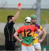 24 February 2013; Referee Brian Gavin shows the red card to both Marty Kavanagh, Carlow, and Tomas Waters, Wexford. Allianz Hurling League, Division 1B, Carlow v Wexford, Dr. Cullen Park, Carlow. Picture credit: David Maher / SPORTSFILE