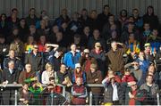 24 February 2013; Spectators, including former Waterford hurler John Mullane, bottom row, look on during the game. Allianz Hurling League, Division 1A, Clare v Waterford, Cusack Park, Ennis, Co. Clare. Picture credit: Diarmuid Greene / SPORTSFILE