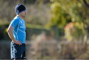 25 February 2013; Leinster's Ian Madigan during squad training ahead of their Celtic League 2012/13 game against Newport Gwent Dragons on Friday. Leinster Rugby Squad Training and Media Briefing, UCD, Belfield, Dublin. Picture credit: Barry Cregg / SPORTSFILE