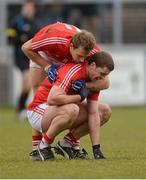 3 March 2013; Ciaran Sheehan, Cork, celebrates with team-mate Fintan Goold at the end of the game. Allianz Football League, Division 1, Down v Cork, Pairc Esler, Newry, Co. Down. Photo by Sportsfile