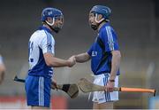 3 March 2013; Cyril Donnellan, Connacht, and Gavin O'Mahony, Munster, exchange a handshake after the game. M. Donnelly GAA Hurling Interprovincial Championship Final, Munster v Connacht, Cusack Park, Ennis, Co. Clare. Picture credit: Diarmuid Greene / SPORTSFILE