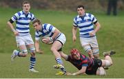 5 March 2013; Shaun O'Donoghue, Rockwell College, is tackled by Lee Nicholas, St Munchin's. Munster Schools Senior Cup Semi-Final, Rockwell College v St Munchin's College, Clanwilliam RFC, Clanwilliam Park, Tipperary Town, Tipperary. Picture credit: Diarmuid Greene / SPORTSFILE