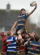 7 March 2013; Jay Kavanagh, Crescent College Comprehensive, wins possession in a lineout. Munster Schools Senior Cup Semi-Final, Crescent College Comprehensive v CBC Cork, Tom Clifford Park, Limerick. Picture credit: Diarmuid Greene / SPORTSFILE