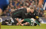 9 March 2013; Ireland's Eoin Reddan is attended to by team doctor Eanna Falvey and team physio James Allen. RBS Six Nations Rugby Championship, Ireland v France, Aviva Stadium, Lansdowne Road, Dublin. Picture credit: Brendan Moran / SPORTSFILE