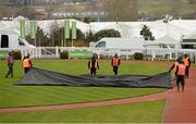 12 March 2013; Protective covers are removed from the parade ring shortly before 9:00am. Cheltenham Racing Festival 2013, Prestbury Park, Cheltenham, England. Photo by Sportsfile