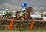 12 March 2013; Hurricane Fly, with Ruby Walsh up, jumps the last on the way to winning the Stan James Champion Hurdle Challenge Trophy, from second placed Rock On Ruby, with Noel Fehily up. Cheltenham Racing Festival 2013, Prestbury Park, Cheltenham, England. Picture credit: Barry Cregg / SPORTSFILE