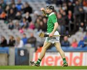 16 March 2013; Greame Mulcahy, Limerick, celebrates after scoring a goal for his side. Allianz Hurling League, Division 1A, Dublin v Limerick, Croke Park, Dublin. Picture credit: Pat Murphy / SPORTSFILE