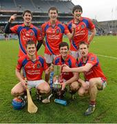 17 March 2013;  St. Thomas' players and members of the Burke family, back row, from left, Éanna, David and Cathal, with, front row, from left, Darragh, Kenneth and Seán following their victory. AIB GAA Hurling All-Ireland Senior Club Championship Final, Kilcormac-Killoughey, Offaly, v St. Thomas', Galway. Croke Park, Dublin. Picture credit: Stephen McCarthy / SPORTSFILE