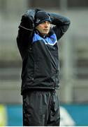 16 March 2013; Anthony Daly, Dublin manager during the last few minutes of the game. Allianz Hurling League, Division 1A, Dublin v Limerick, Croke Park, Dublin. Picture credit: Pat Murphy / SPORTSFILE