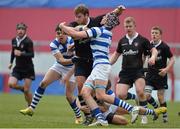 18 March 2013; Jack Dinneen, Crescent College Comprehensive, is tackled by Rory Parata, left, Sean O'Connor and Shaun O'Donoghue, Rockwell College. Munster Schools Senior Cup Final, Crescent College Comprehensive v Rockwell College, Thomond Park, Limerick. Picture credit: Diarmuid Greene / SPORTSFILE