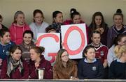 20 March 2013; Supporters during the game. Tesco HomeGrown Post Primary School Junior A Final, Glenamaddy Community School, Co. Galway v St Paul's High School, Co. Armagh, Glenamaddy GAA Club, Galway. Picture credit: Diarmuid Greene / SPORTSFILE