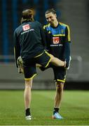 21 March 2013; Sweden's Zlatan Ibrahimovic, right, and Jonas Olsson during squad training ahead of their side's 2014 FIFA World Cup, Group C, qualifier match against the Republic of Ireland on Friday. Sweden Squad Training, Friends Arena, Solna, Stockholm, Sweden. Picture credit: David Maher / SPORTSFILE