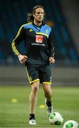 21 March 2013; Sweden's Jonas Olsson in action during squad training ahead of their side's 2014 FIFA World Cup, Group C, qualifier match against the Republic of Ireland on Friday. Sweden Squad Training, Friends Arena, Solna, Stockholm, Sweden. Picture credit: David Maher / SPORTSFILE