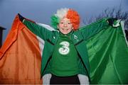 26 March 2013; Republic of Ireland supporter Thomas McHale, aged 10, from Castlebar, Co. Mayo, at the game. 2014 FIFA World Cup Qualifier, Group C, Republic of Ireland v Austria, Aviva Stadium, Lansdowne Road, Dublin. Photo by Sportsfile