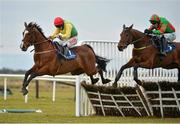 31 March 2013; Juan De Gracia, left, with Andrew Lynch up, jumps the last ahead of Benemeade, with Paul Carberry up, on the way to winning the Fairyhouse Vets promoting Equine Health Maiden Hurdle. Fairyhouse Racecourse, Co. Meath. Picture credit: Barry Cregg / SPORTSFILE