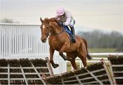 31 March 2013; Annie Power, with Ruby Walsh up, on the way to winning the Irish Stallion Farms European Breeders Fund Mares Novice Hurdle Championship Final. Fairyhouse Racecourse, Co. Meath. Picture credit: Barry Cregg / SPORTSFILE