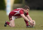 31 March 2013; Aaron Carroll, Roscrea. Provincial Towns Cup, Semi-Final, Roscrea v Longford, Edenderry RFC, Edenderry, Co. Offaly. Picture credit: David Maher / SPORTSFILE